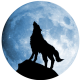 Site icon